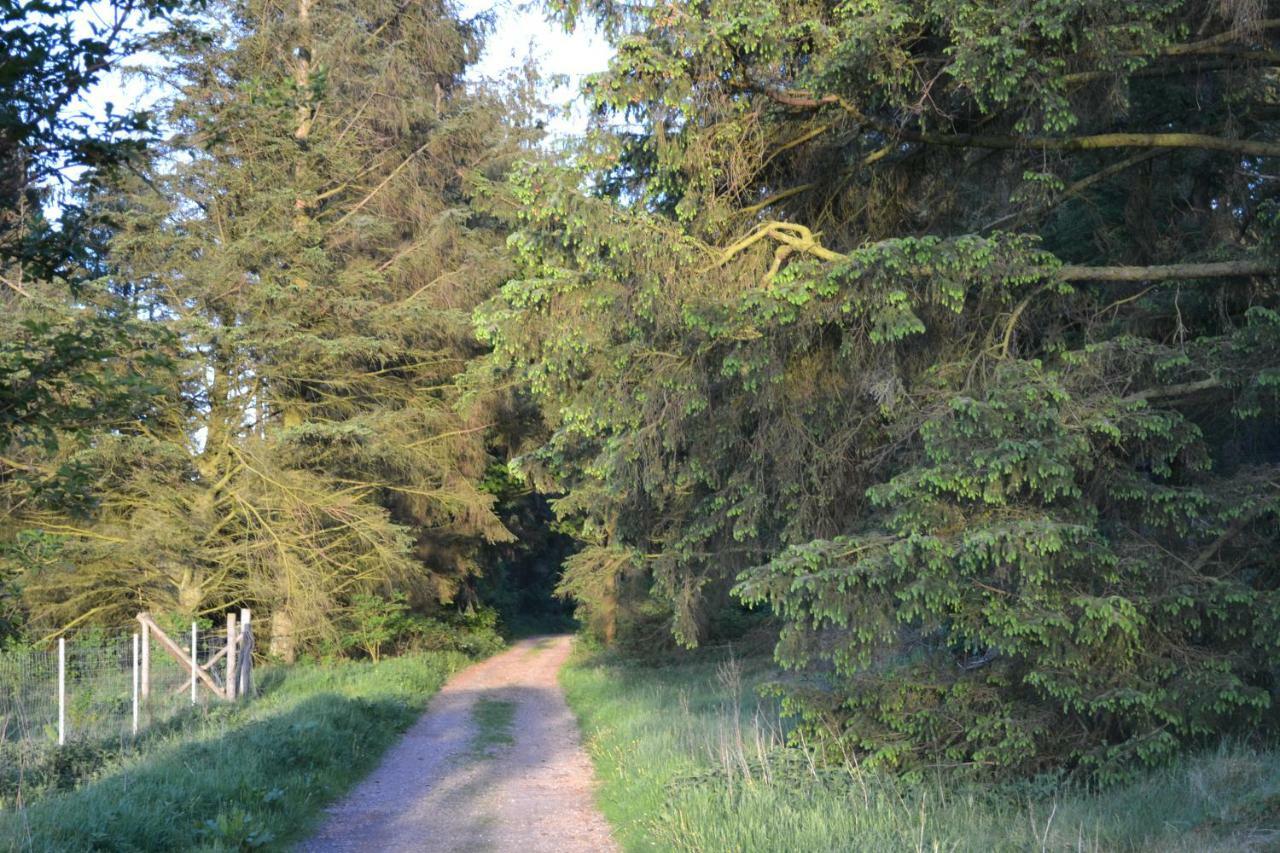 Hyggehus Villa Humptrup Bagian luar foto